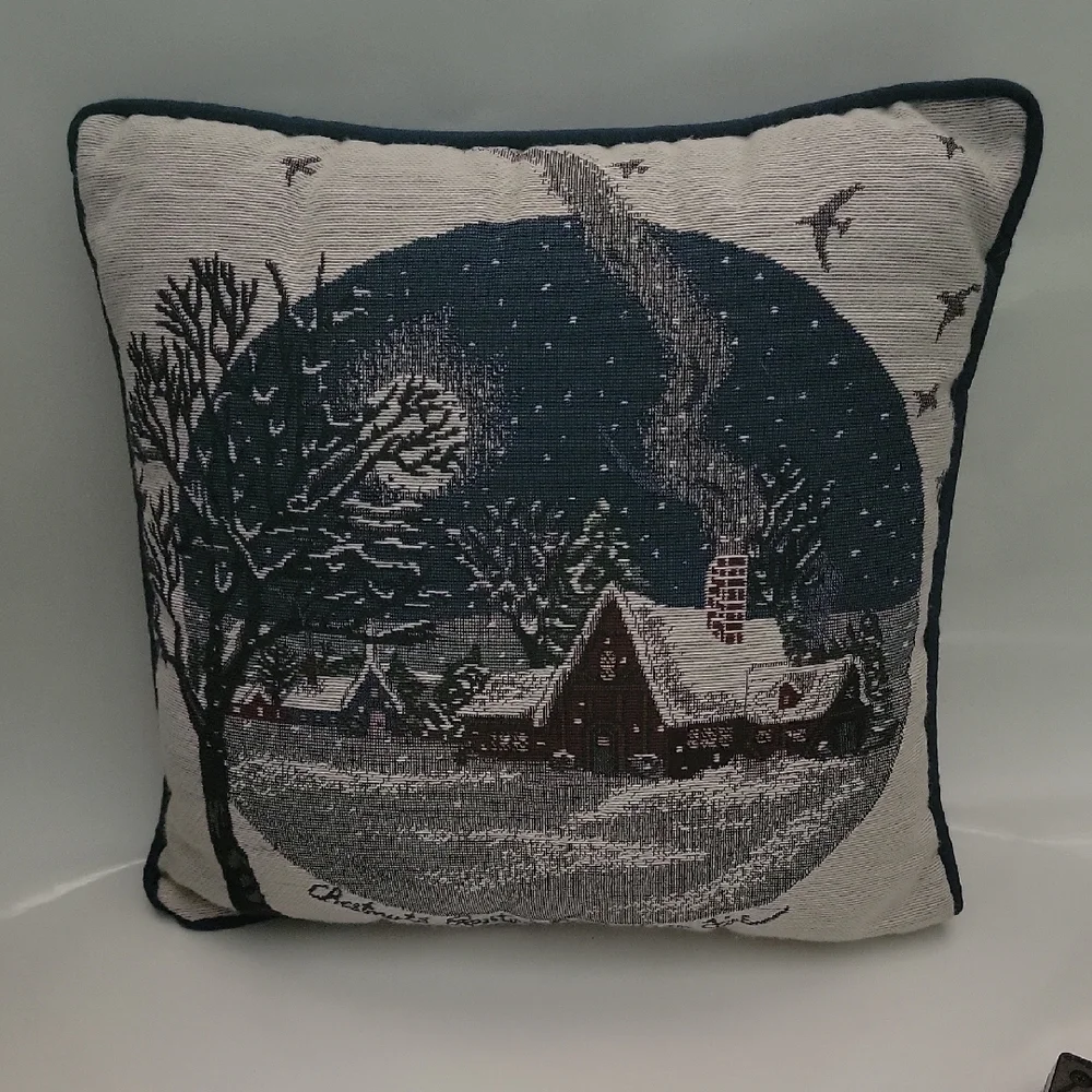 Winter Night Scene Throw Pillow